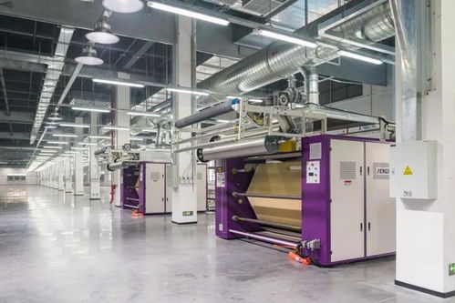 shein的長期主義實驗 在最繁雜的市場打最耐心的仗