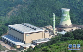 追問 綠色經濟 重慶環保產業發展調查 組圖