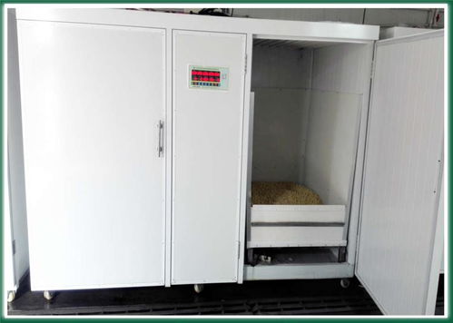 自動豆芽設備廠家 甘南自動豆芽設備 科發豆芽機械公司 多圖